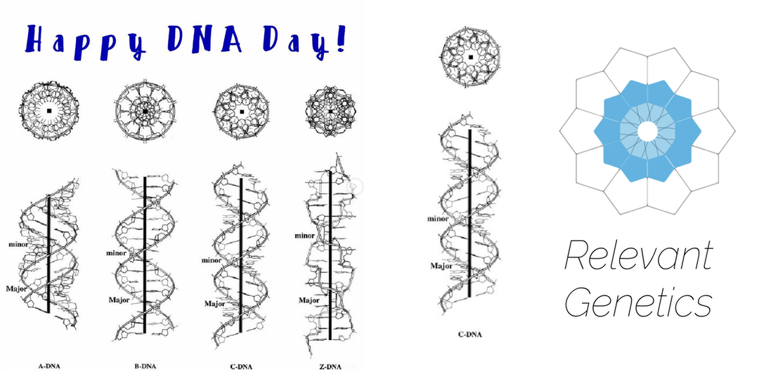 Happy DNA Day!